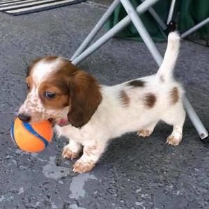 Meet your Posher, Rochelle